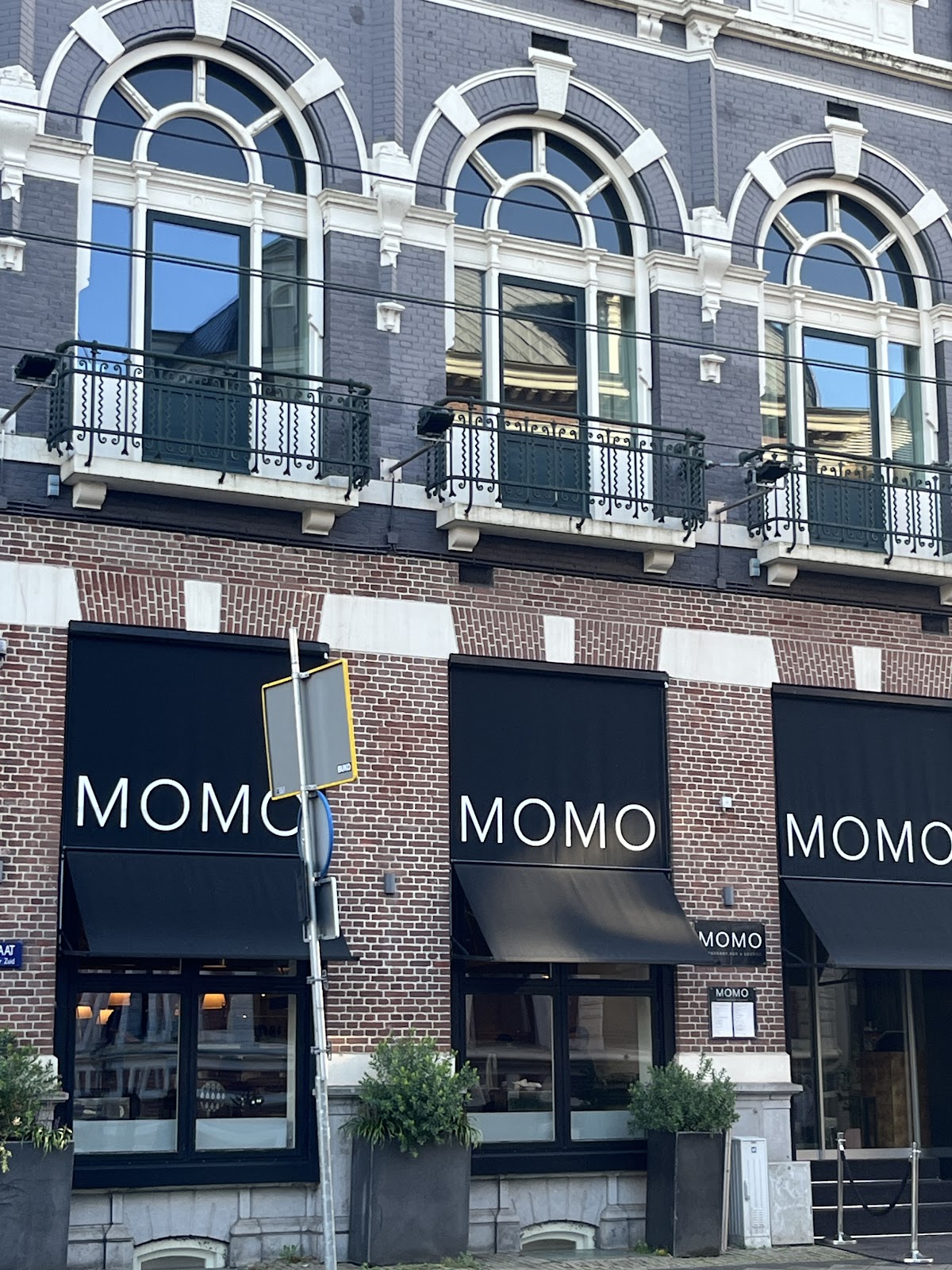 MOMO — photo 5