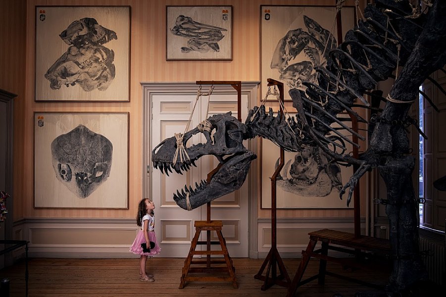 Art Zoo Museum — Amsterdam