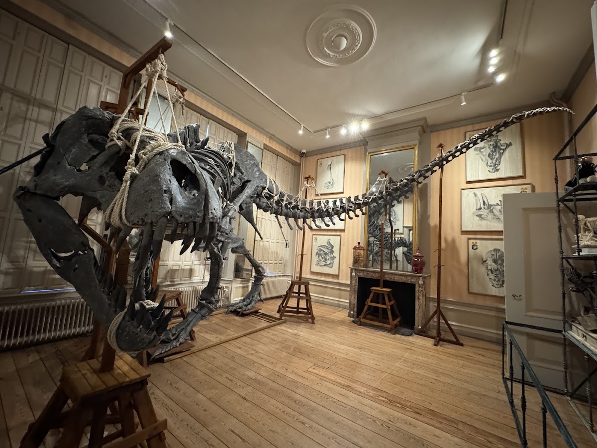 Art Zoo Museum — photo 2