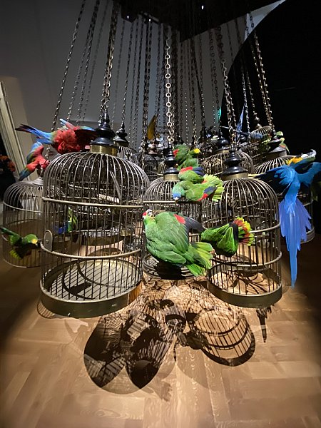 Art Zoo Museum — photo 2
