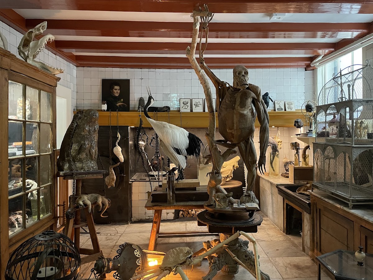 Art Zoo Museum — photo 5