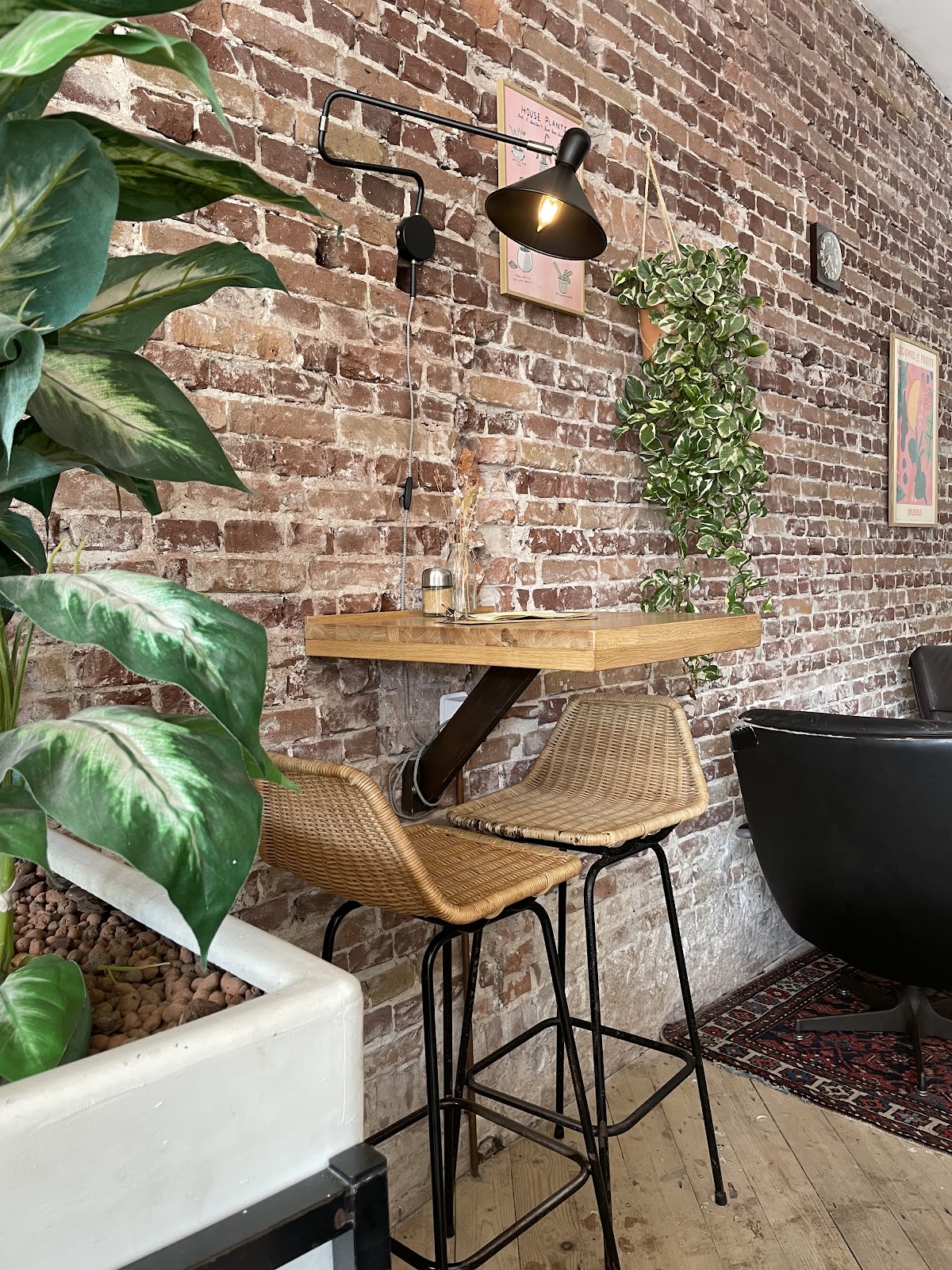 Cleeff — Haarlem — photo 1