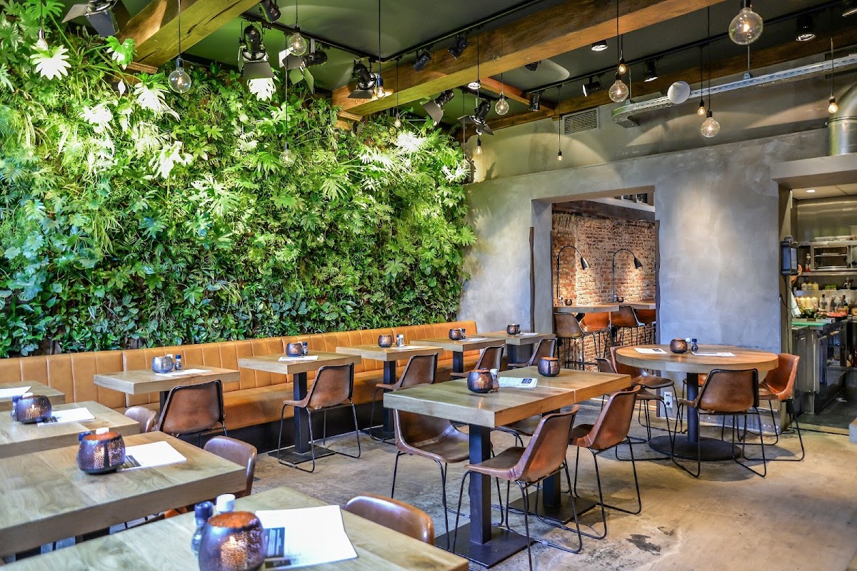 Fortuyn — Haarlem — photo 1