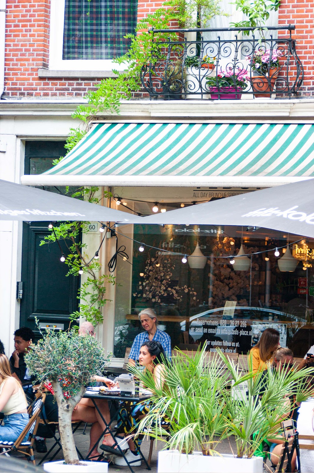 Teds Amsterdam Oud West - All Day Brunch — Amsterdam — photo 1