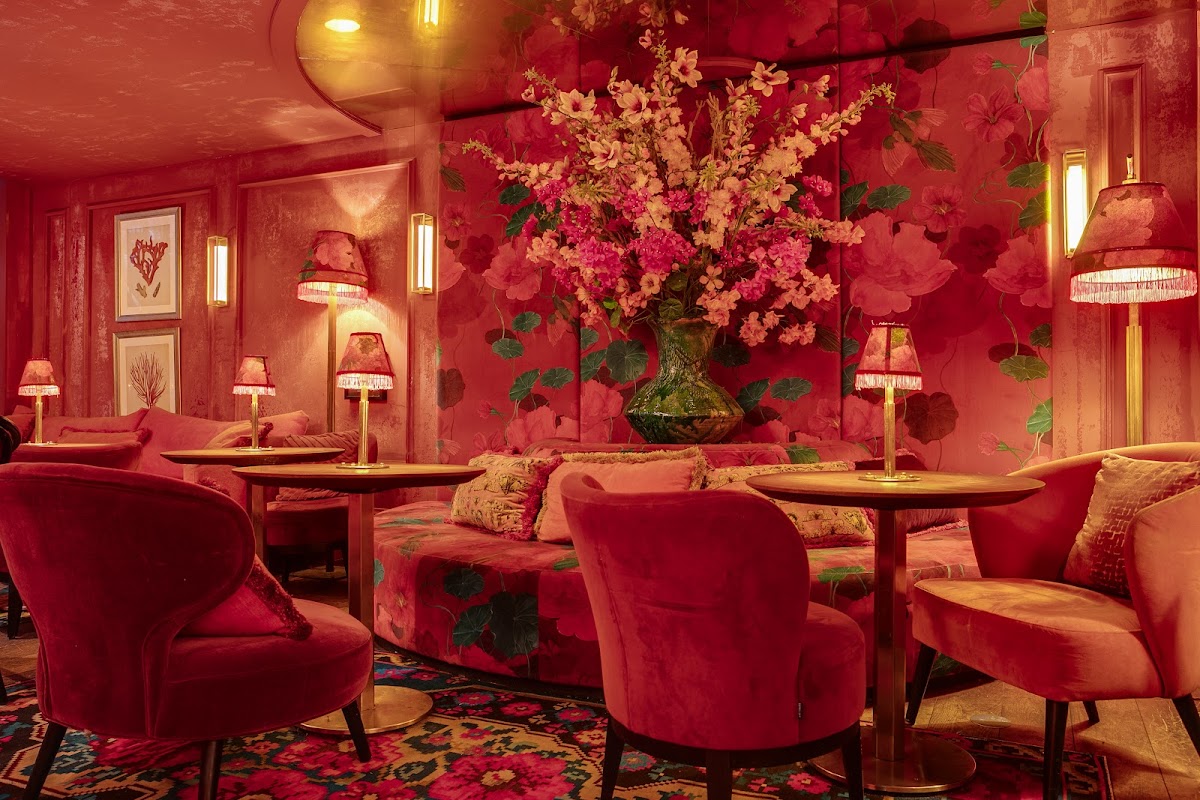 Toujours — Haarlem — photo 1