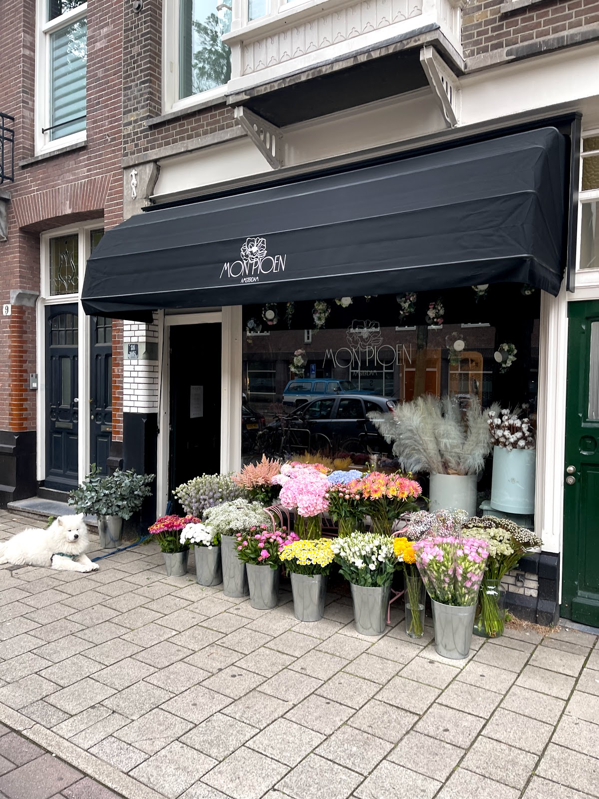 Mon Pioen — Amsterdam — photo 1