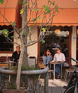 cafe wilhelmina — Amsterdam