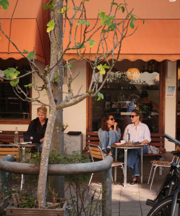 cafe wilhelmina — Amsterdam — photo 1