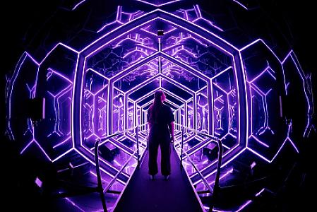 AMAZE Amsterdam | Immersive Experience & Activiteit — Amsterdam