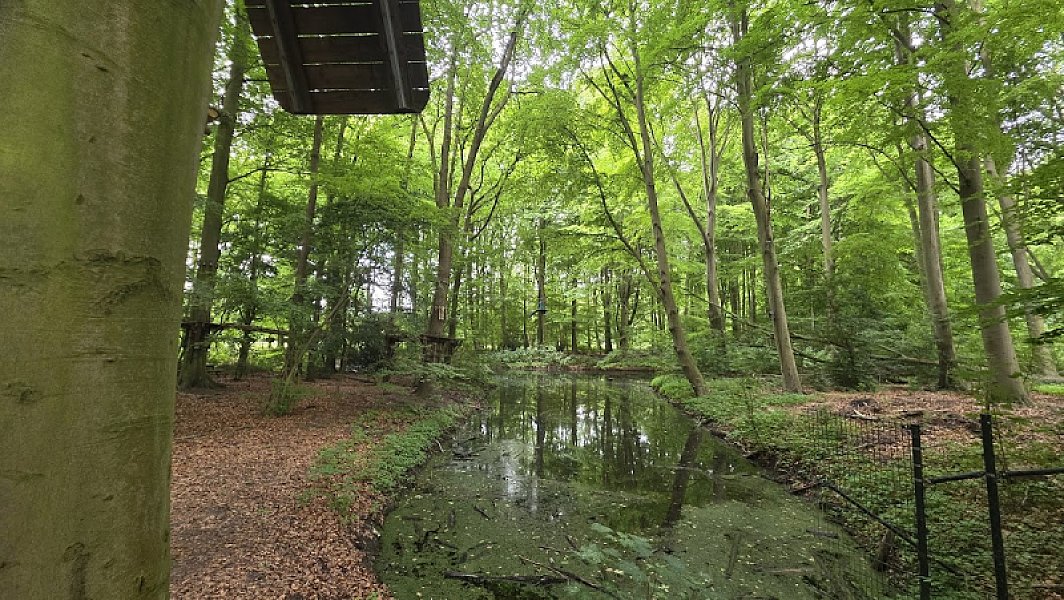 Klimpark Fun Forest Amsterdam — photo 3