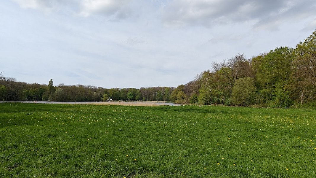 Klimpark Fun Forest Amsterdam — photo 4