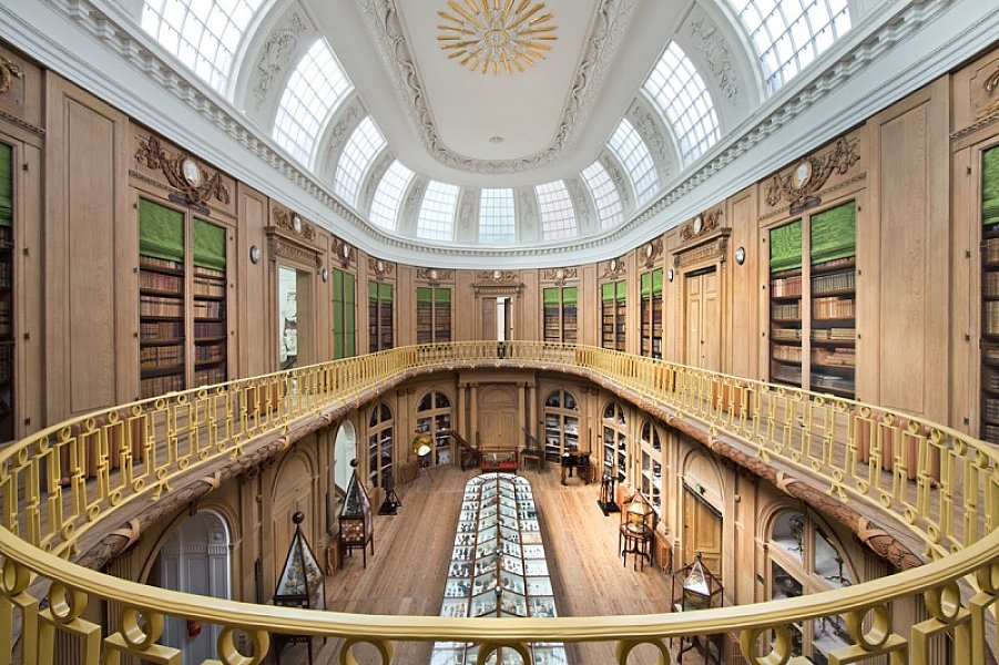 Teylers Museum — photo 2