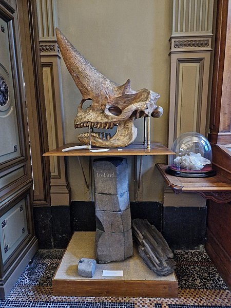 Teylers Museum — photo 4