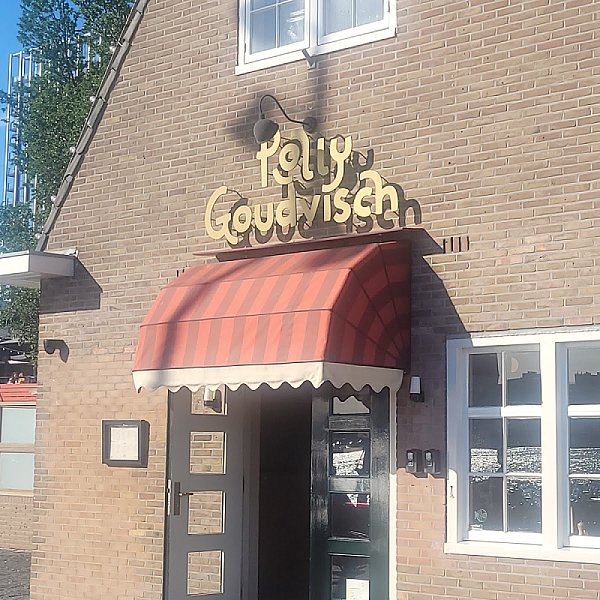 Polly Goudvisch — photo 4