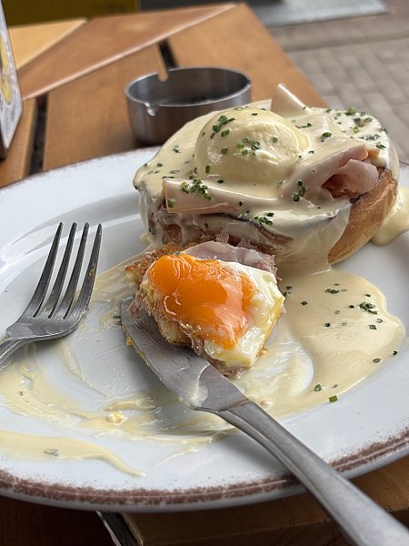 Moos — photo 4
