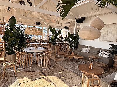 Hippie Fish — Zandvoort