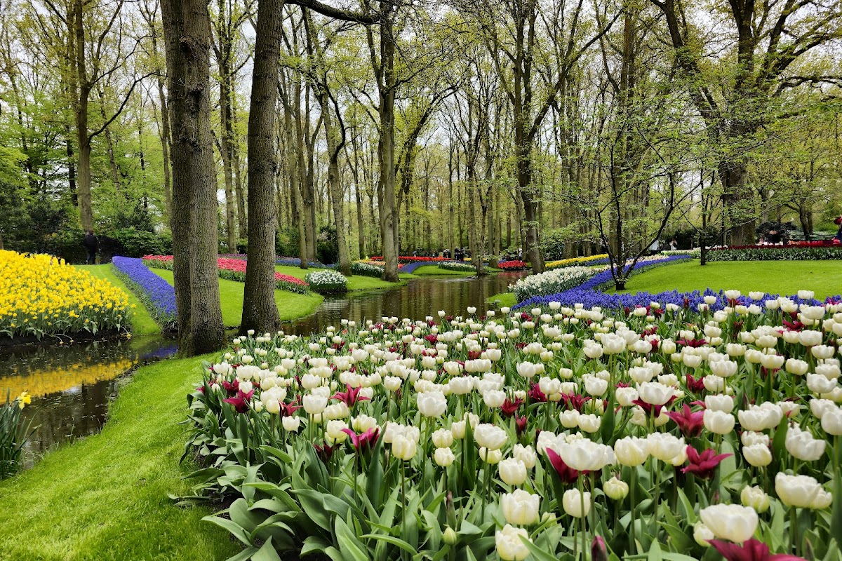 Keukenhof — Lisse
