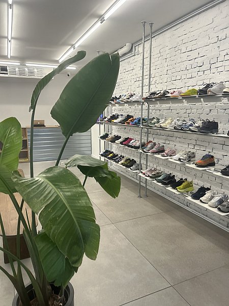 Patta — photo 3